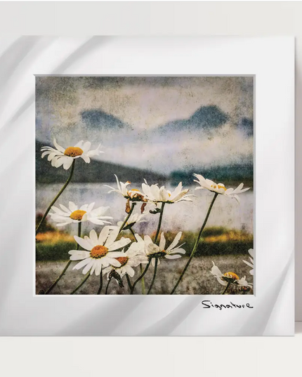 Daisies Square Print 10x10in