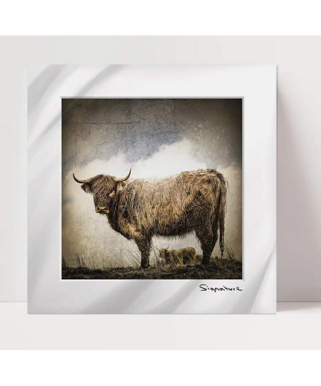 The Coo Family Square Print 10x10in
