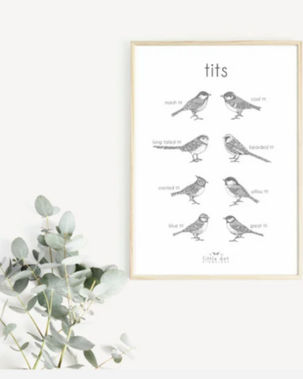 Tits/Bird A3 Print - LittleDot