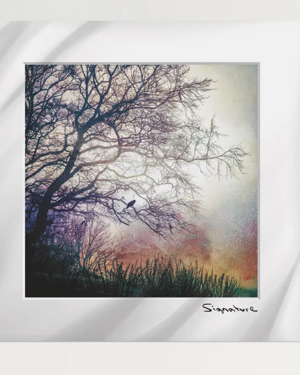 Morning Perch Square Print 10x10in