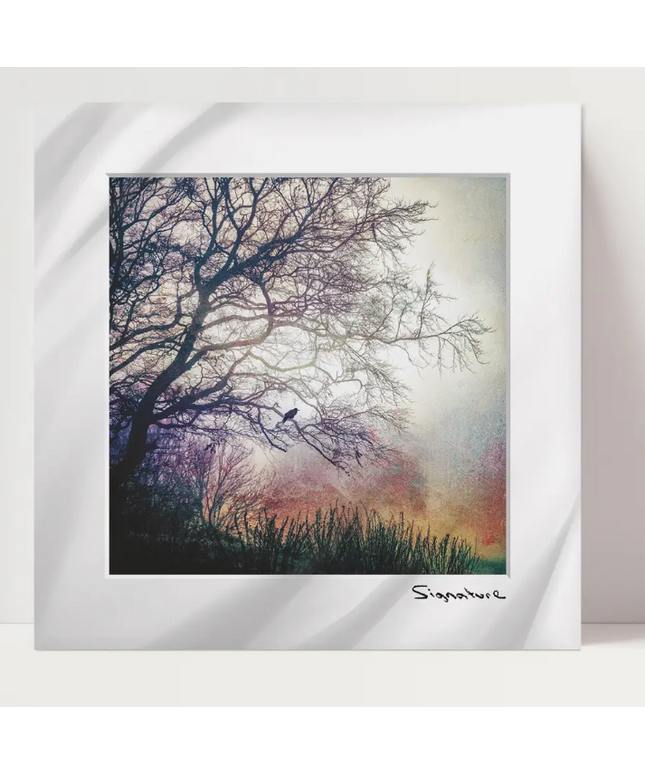 Morning Perch Square Print 10x10in