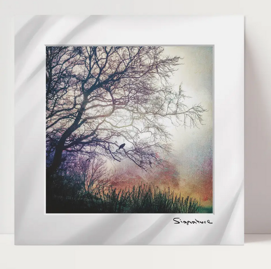 Morning Perch Square Print 10x10in