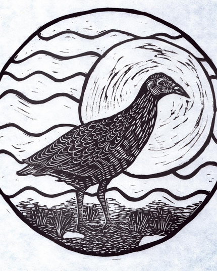CornCrake Lino Art - Judith Wild