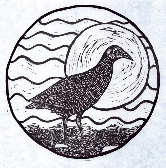 CornCrake Lino Art - Judith Wild