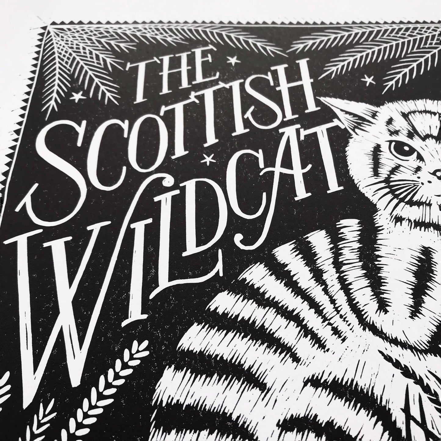 Scottish Wildcat Print