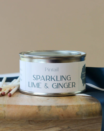 Sparkling Lime and Ginger Paint Pot Candle