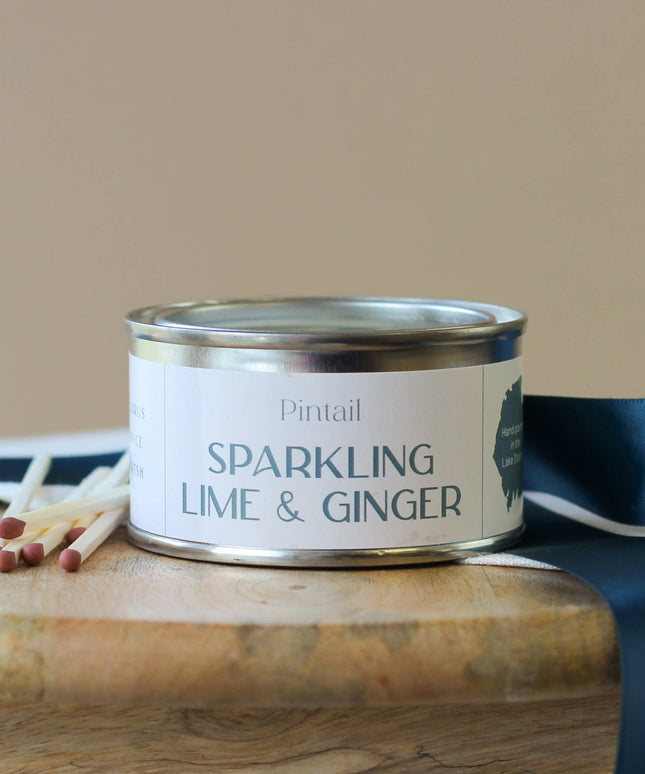 Sparkling Lime and Ginger Paint Pot Candle