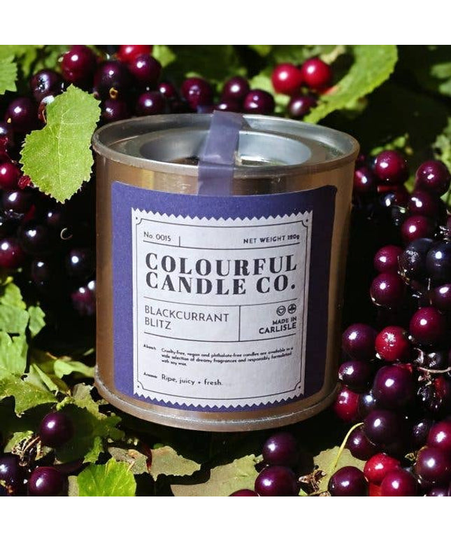 Blackcurrant Blitz Soy Wax Paint Tin Candle
