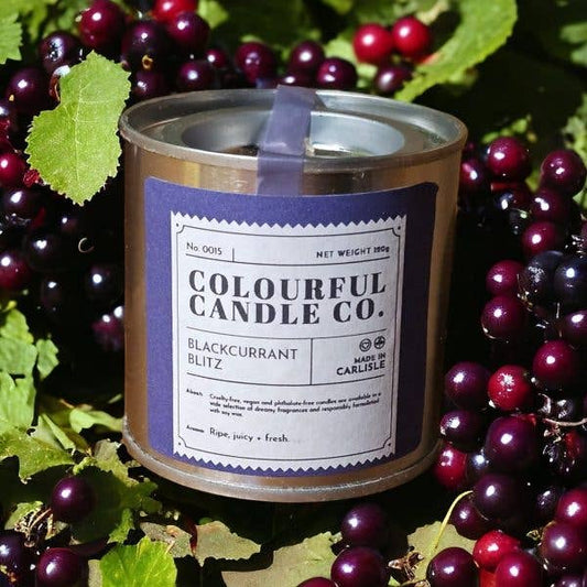 Blackcurrant Blitz Soy Wax Paint Tin Candle