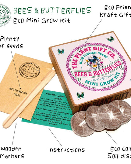 Wild Flowers Eco Grow Kit