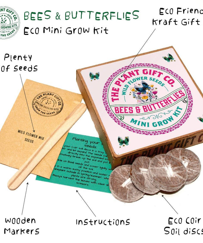 Wild Flowers Eco Grow Kit