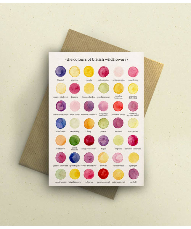 The Colours of British Wildflowers Greetings Card