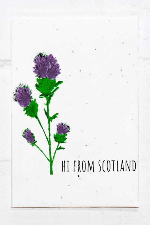 Scotland, Thistle Eco-friendly Plantable Seeded