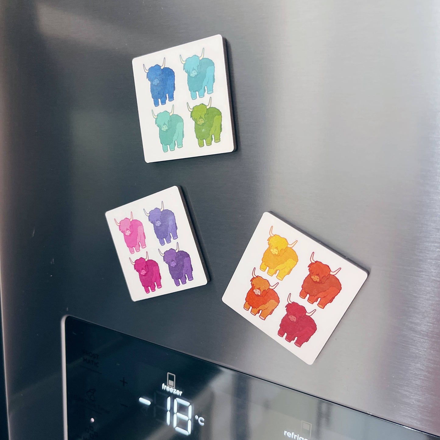 Rainbow Coo Fridge Magnet